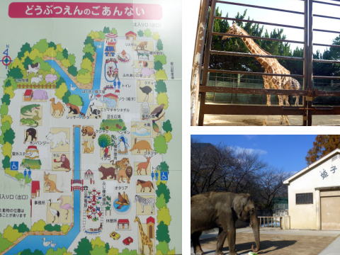 <%　姫路市立動物園の園内地図 %>